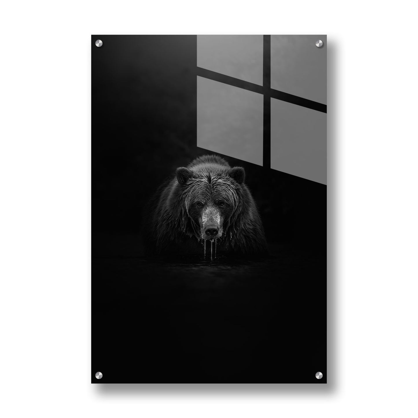 GRIZZLY