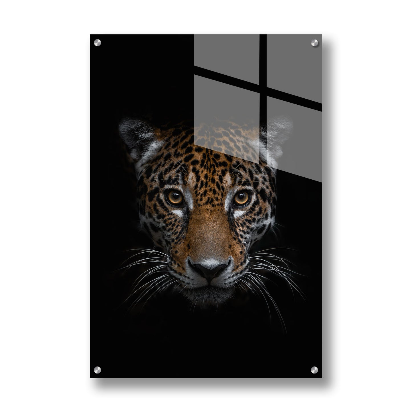 THE JAGUAR