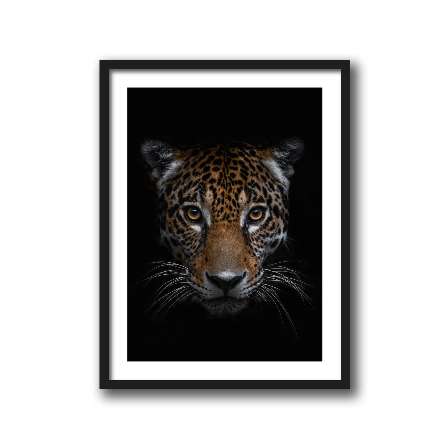 THE JAGUAR