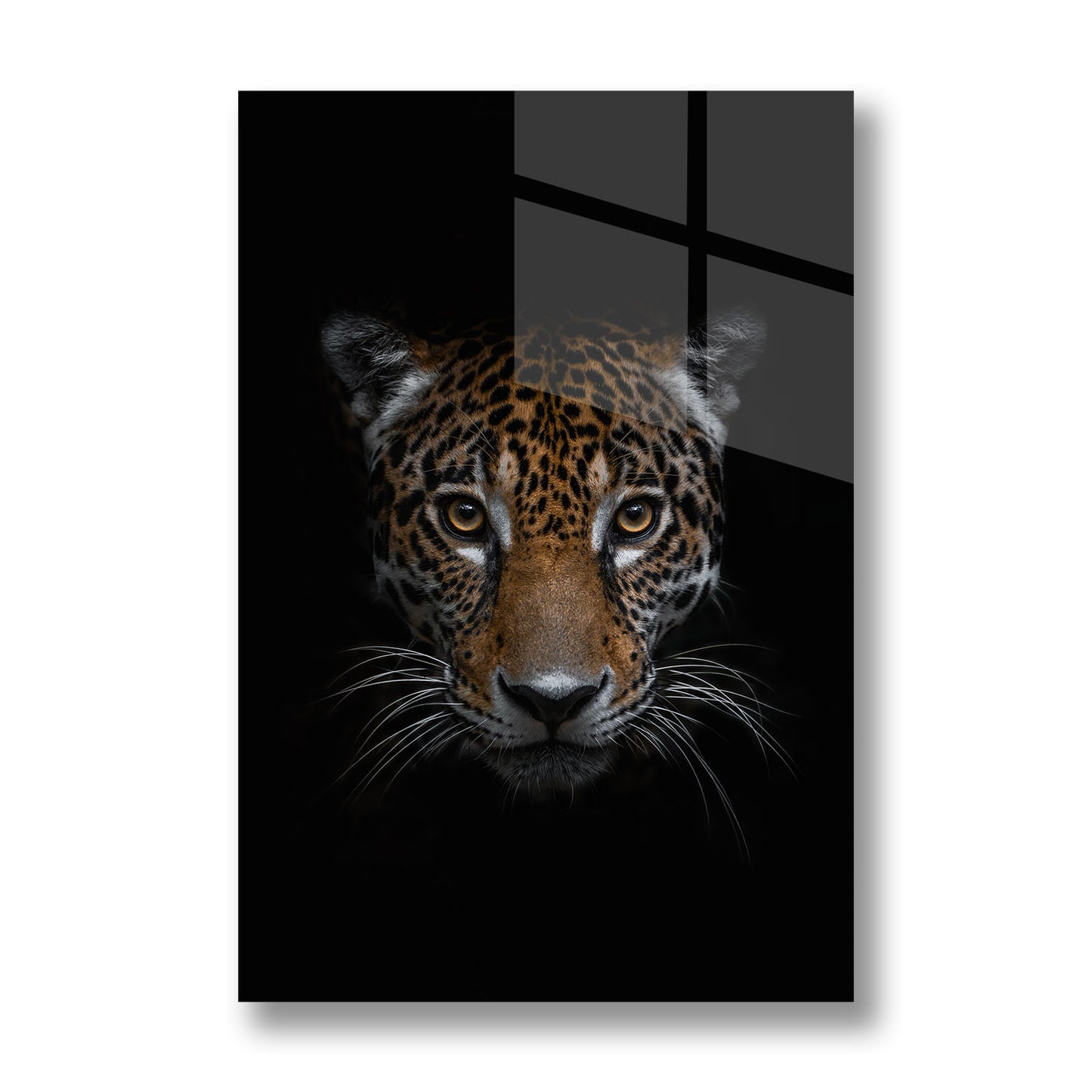 THE JAGUAR