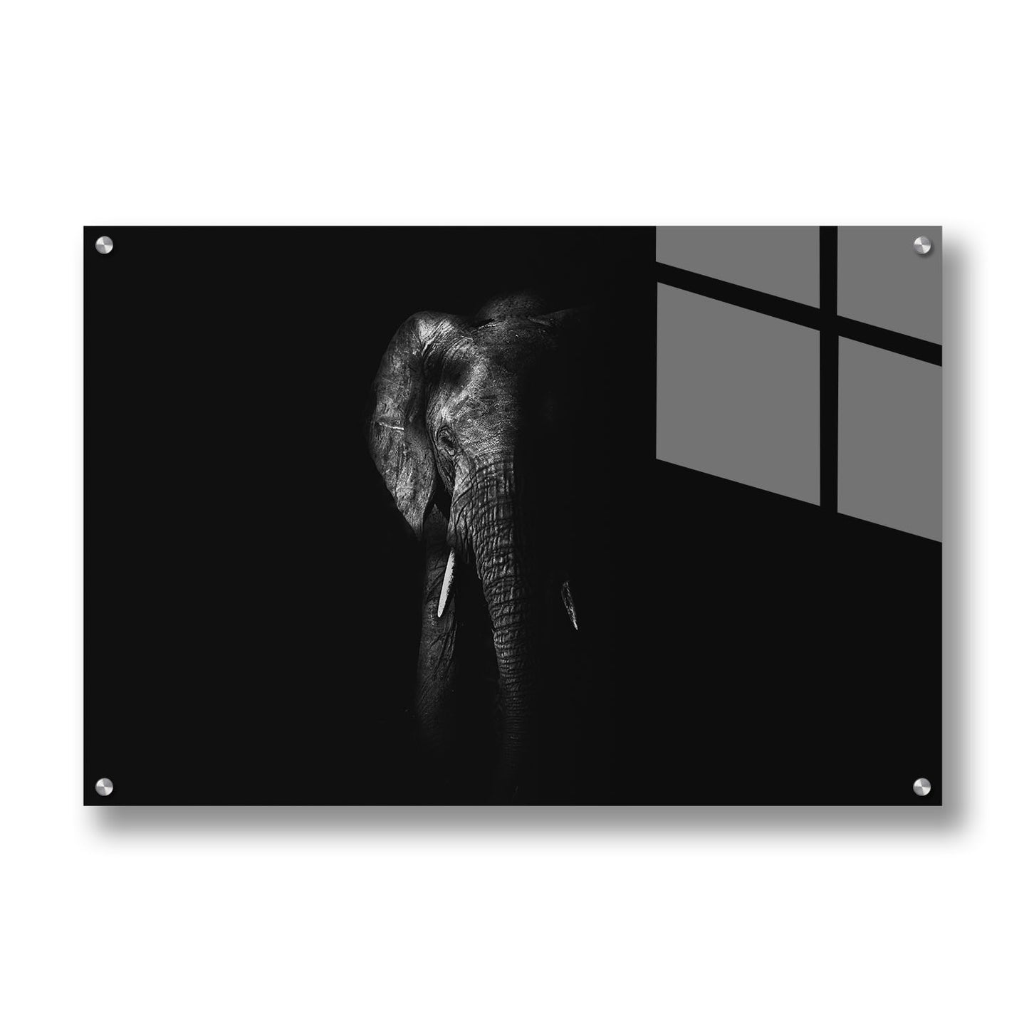 MATRIARCH SHADOWED