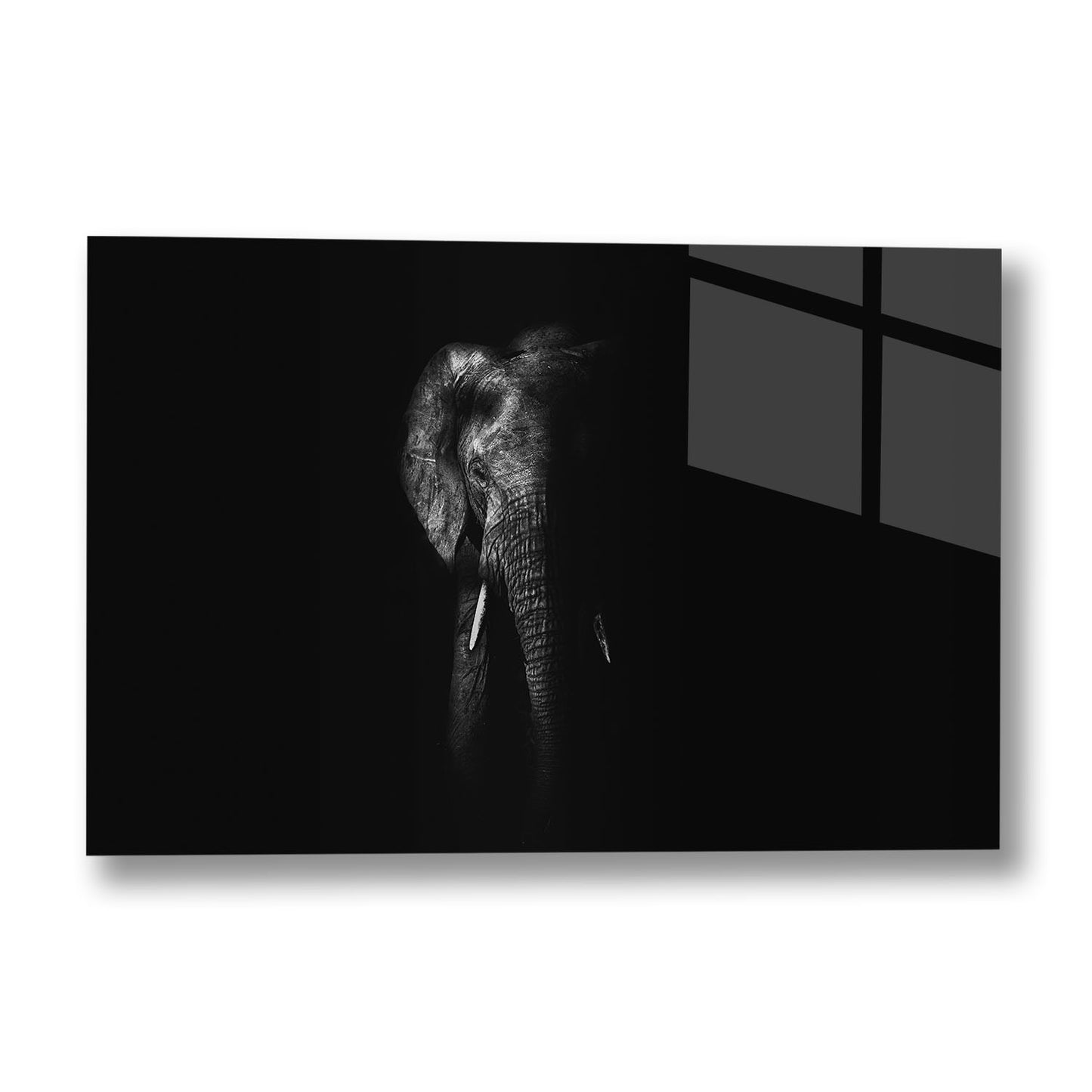 MATRIARCH SHADOWED