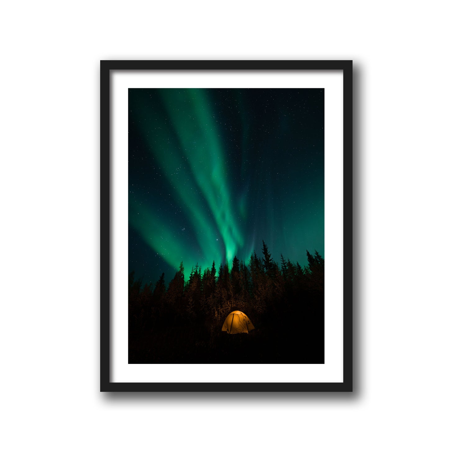 NORTHERN LIGHTS