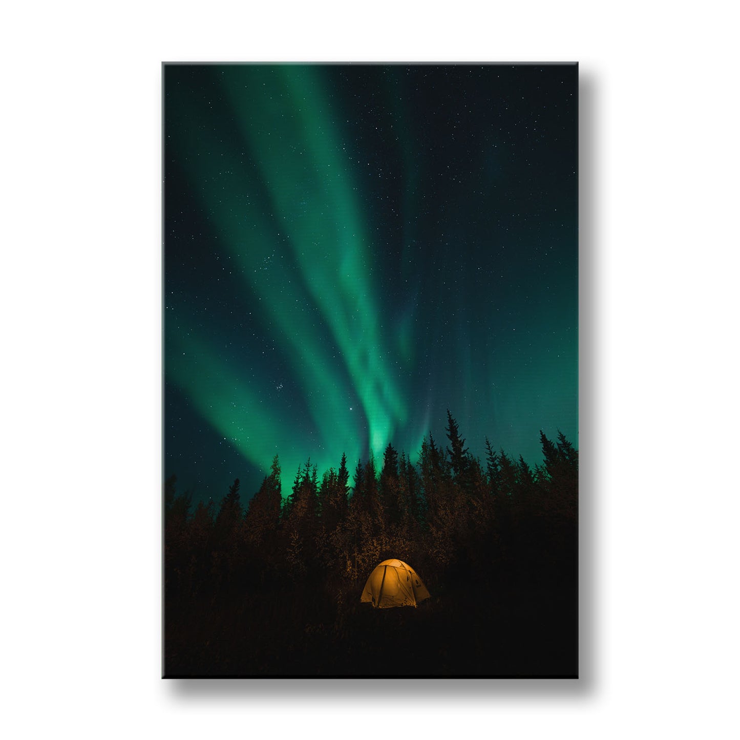 NORTHERN LIGHTS
