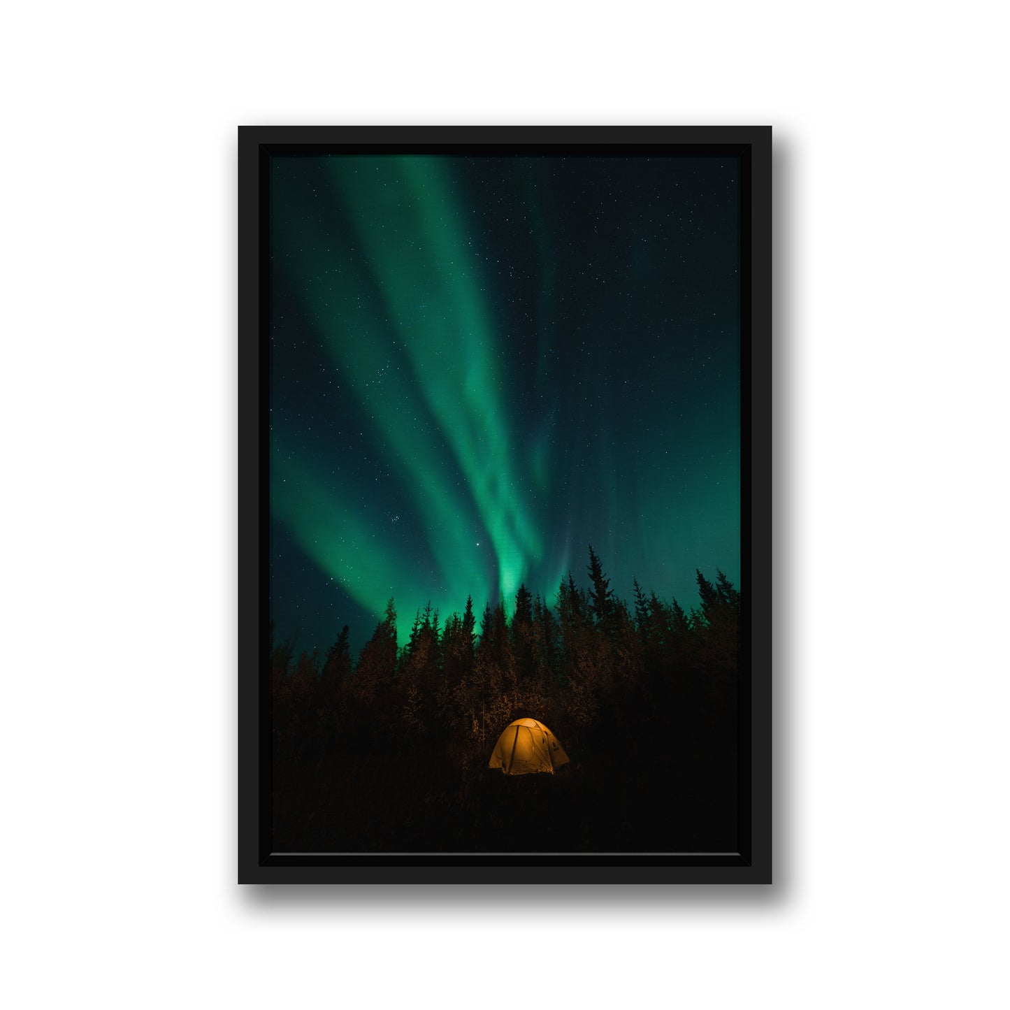 NORTHERN LIGHTS