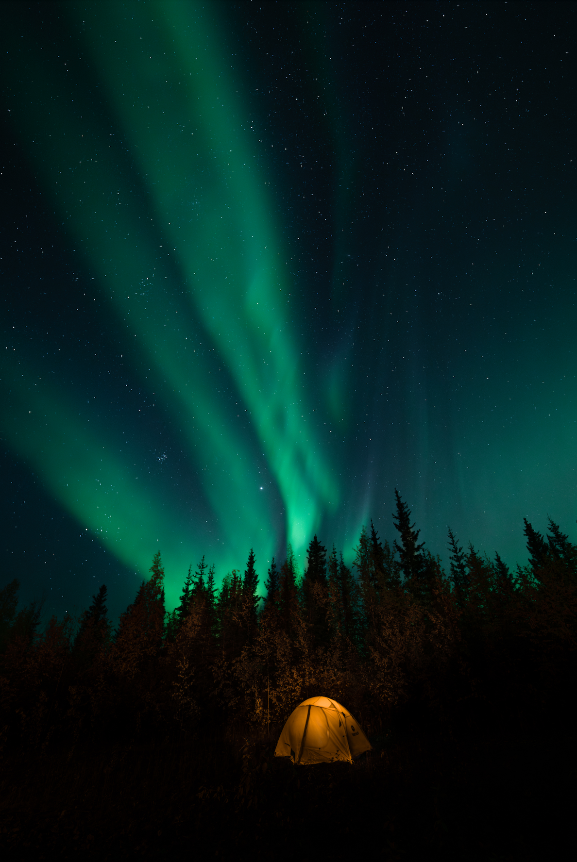 NORTHERN LIGHTS