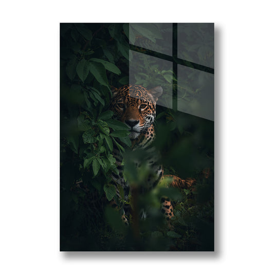 OBSERVER