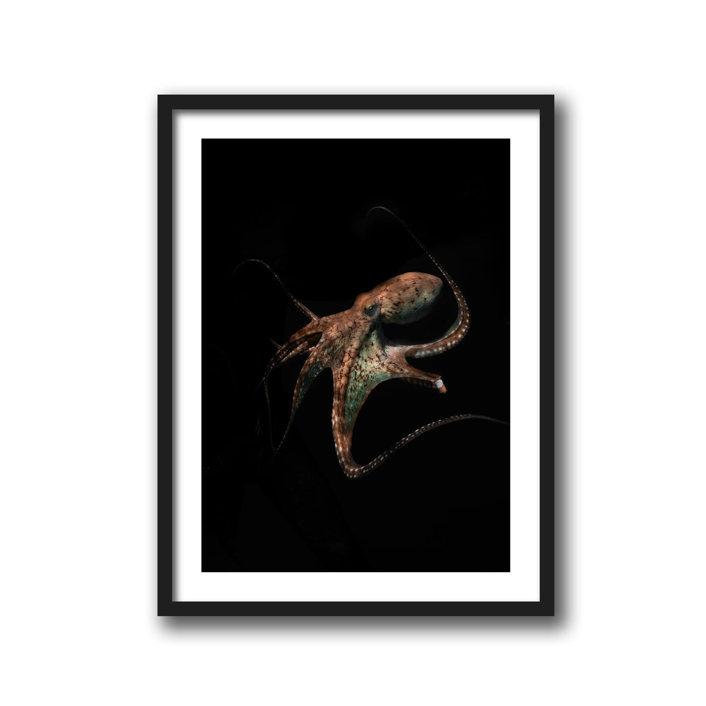 UNDERWATER ALIEN