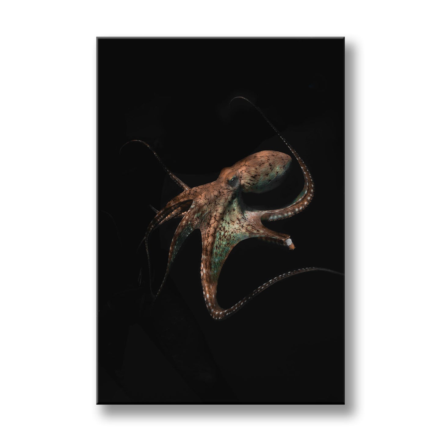 UNDERWATER ALIEN