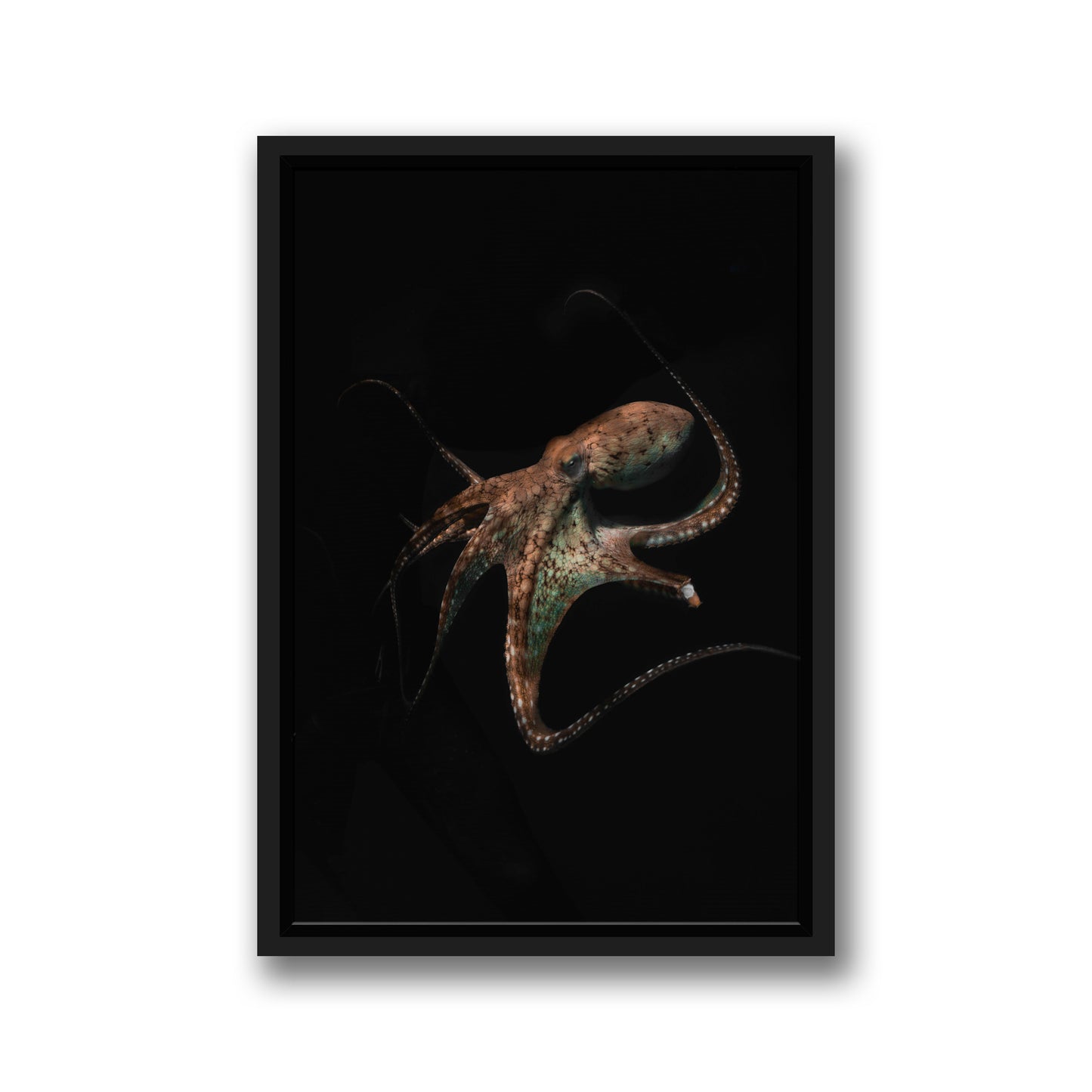 UNDERWATER ALIEN