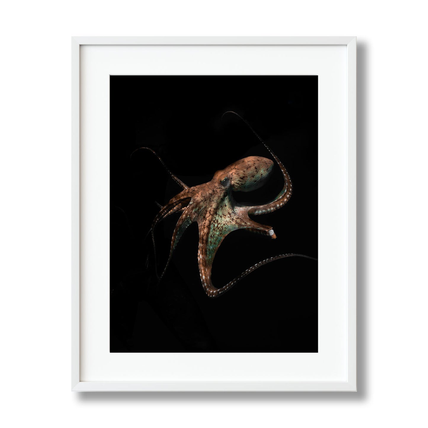 UNDERWATER ALIEN