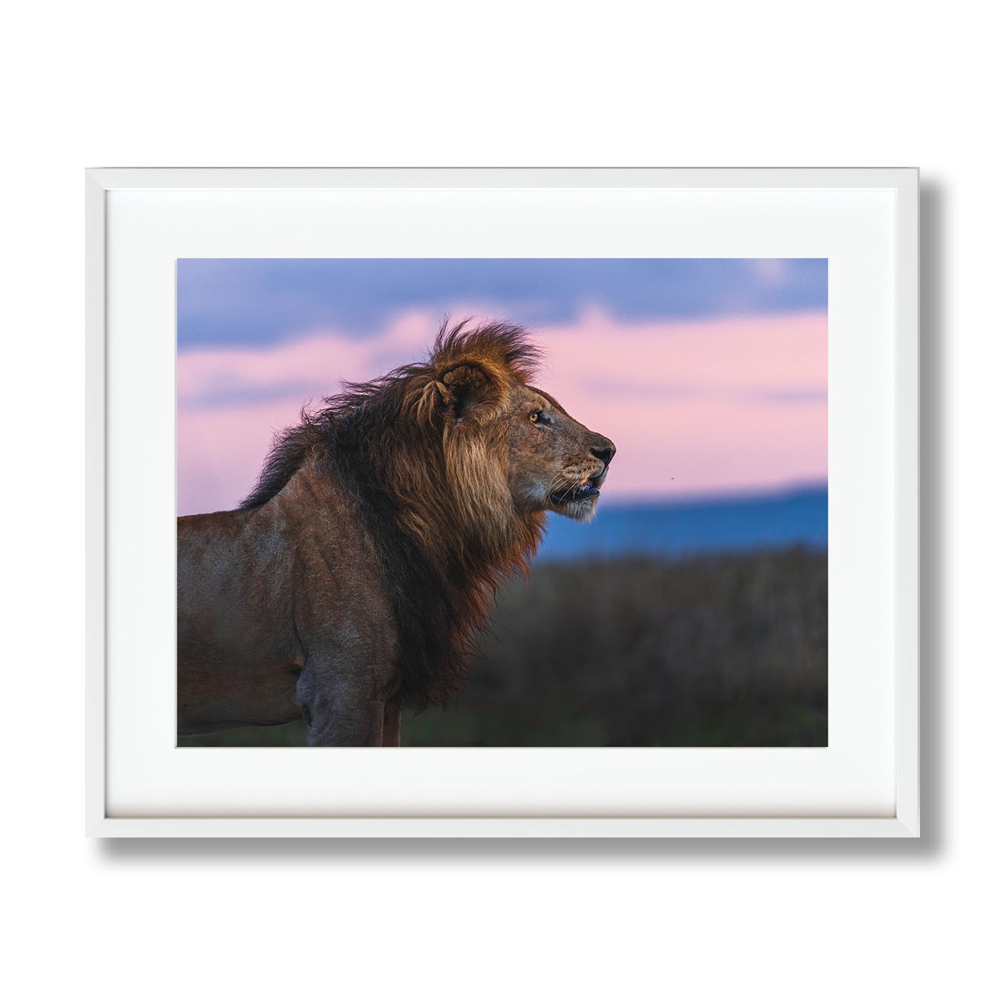 SUNSET KING