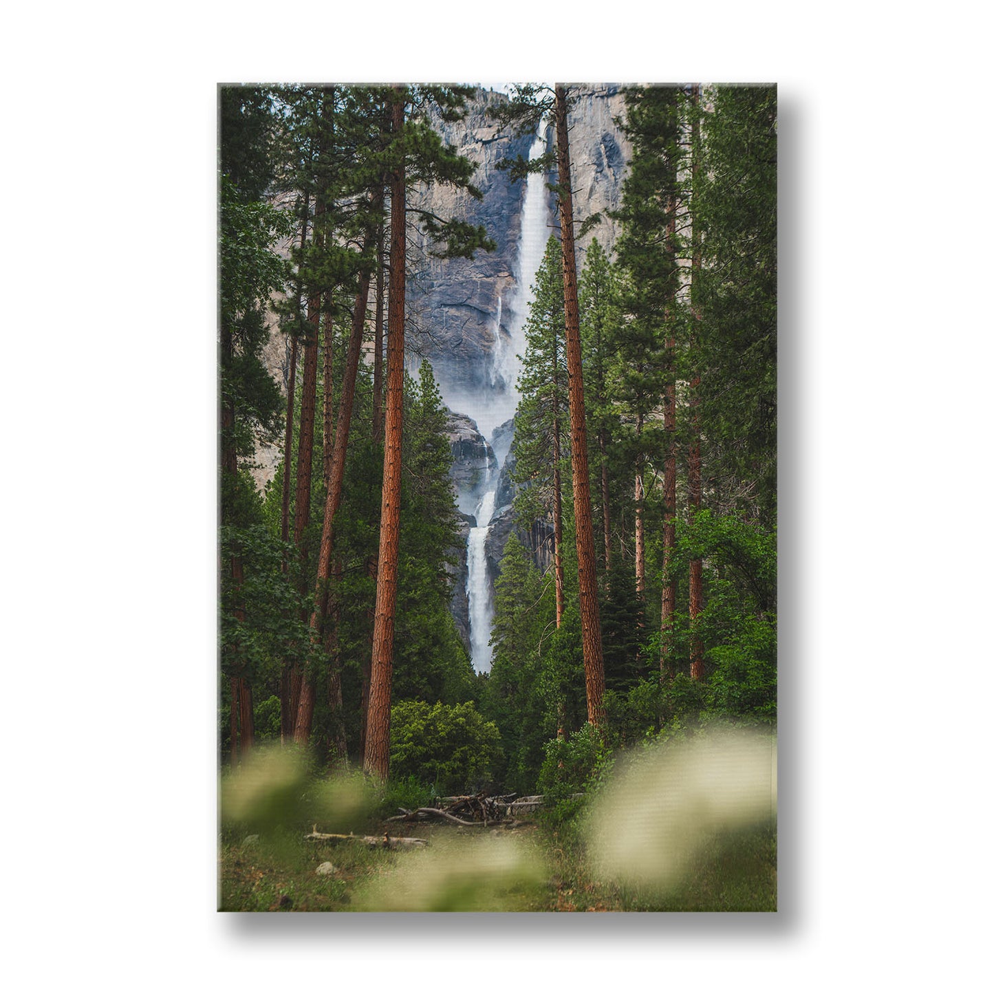 YOSEMITE OVERFLOW