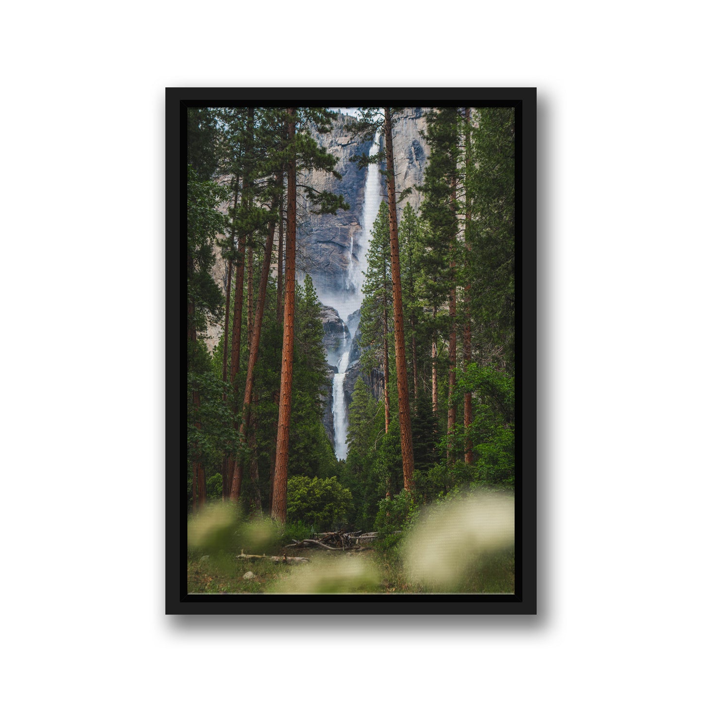 YOSEMITE OVERFLOW