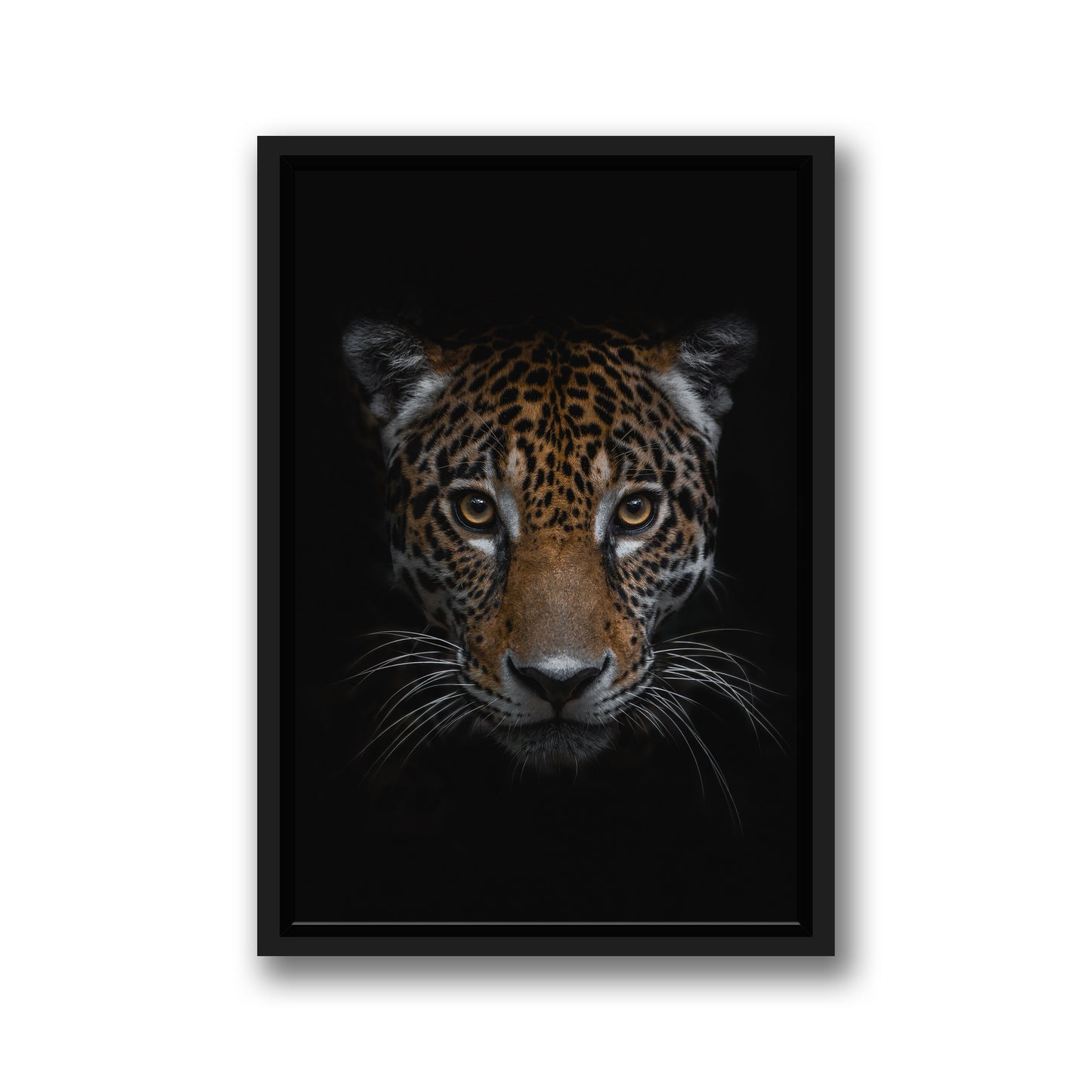 THE JAGUAR