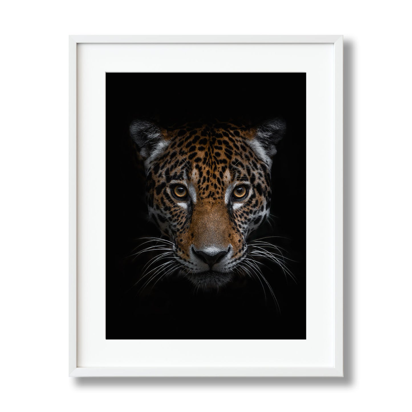 THE JAGUAR
