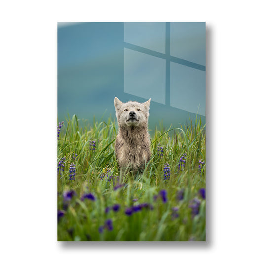 Whispers of the Meadow