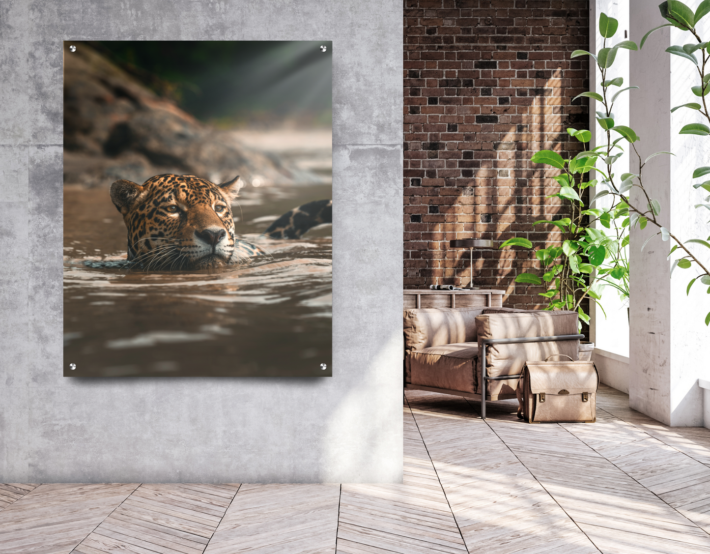 SWIMMING JAGUAR