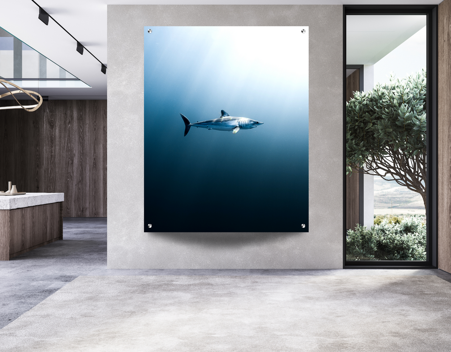 LONGFIN MAKO SHARK