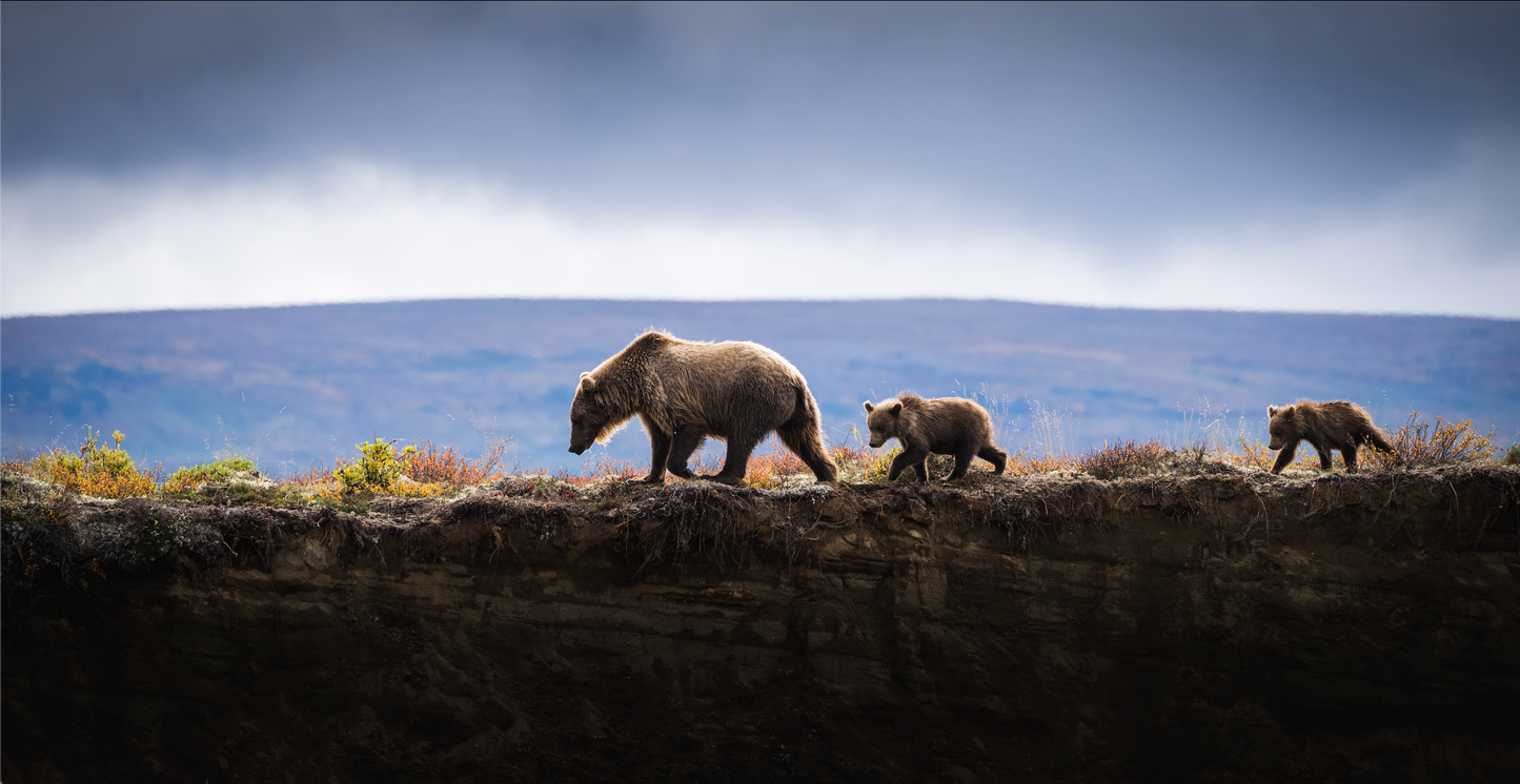 MOM AND CUBS