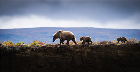 MOM AND CUBS