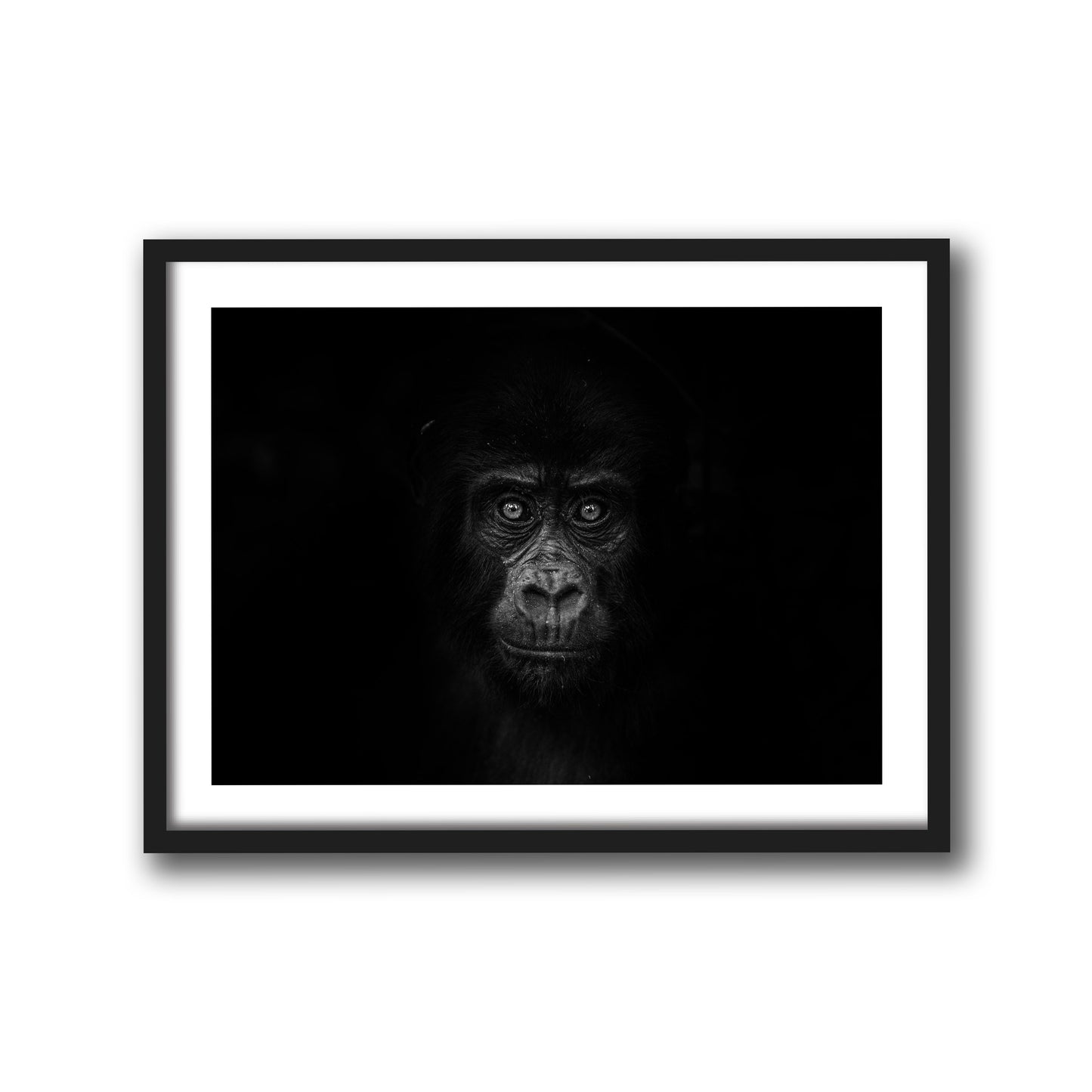 GORILLA