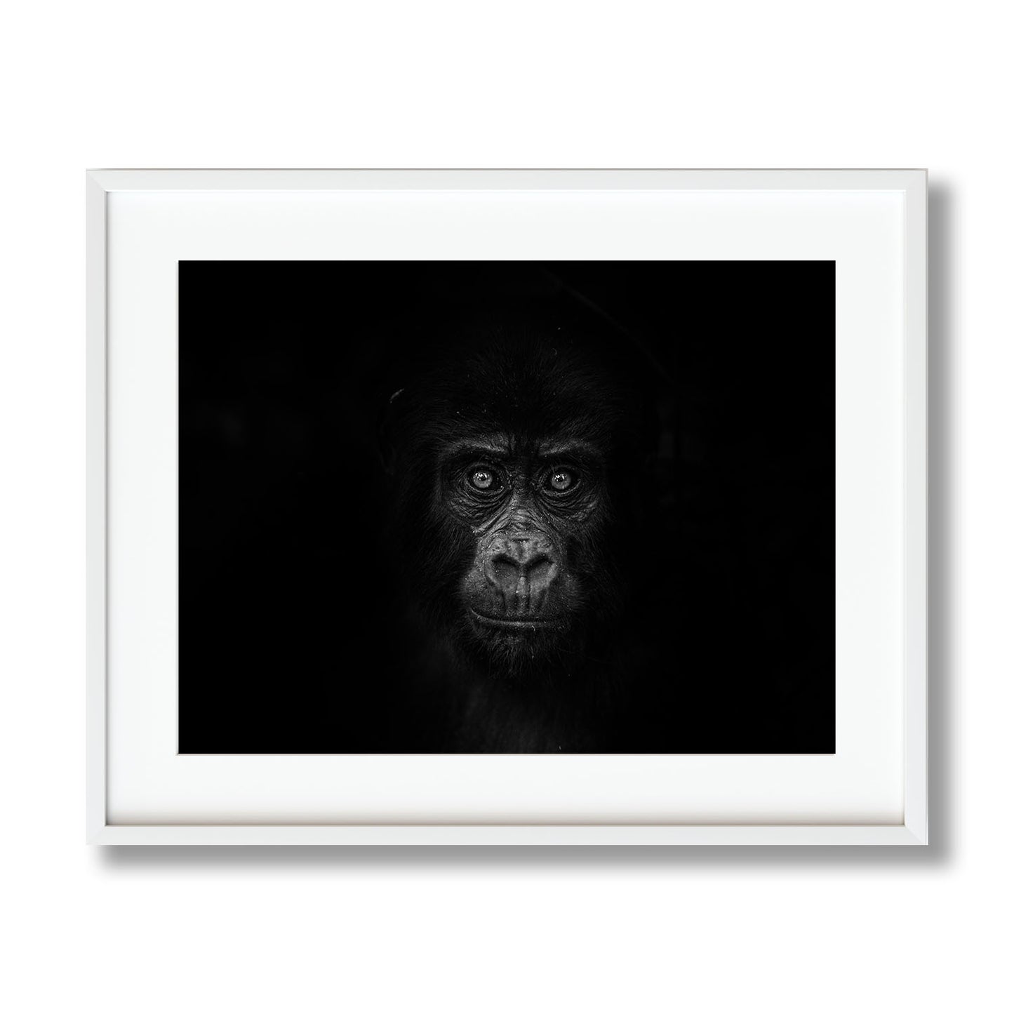GORILLA