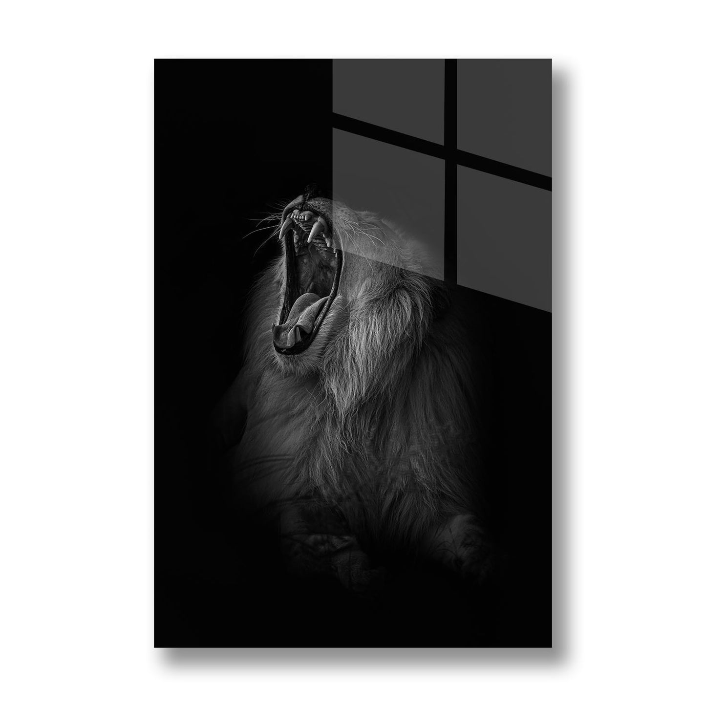 A LIONS ROAR