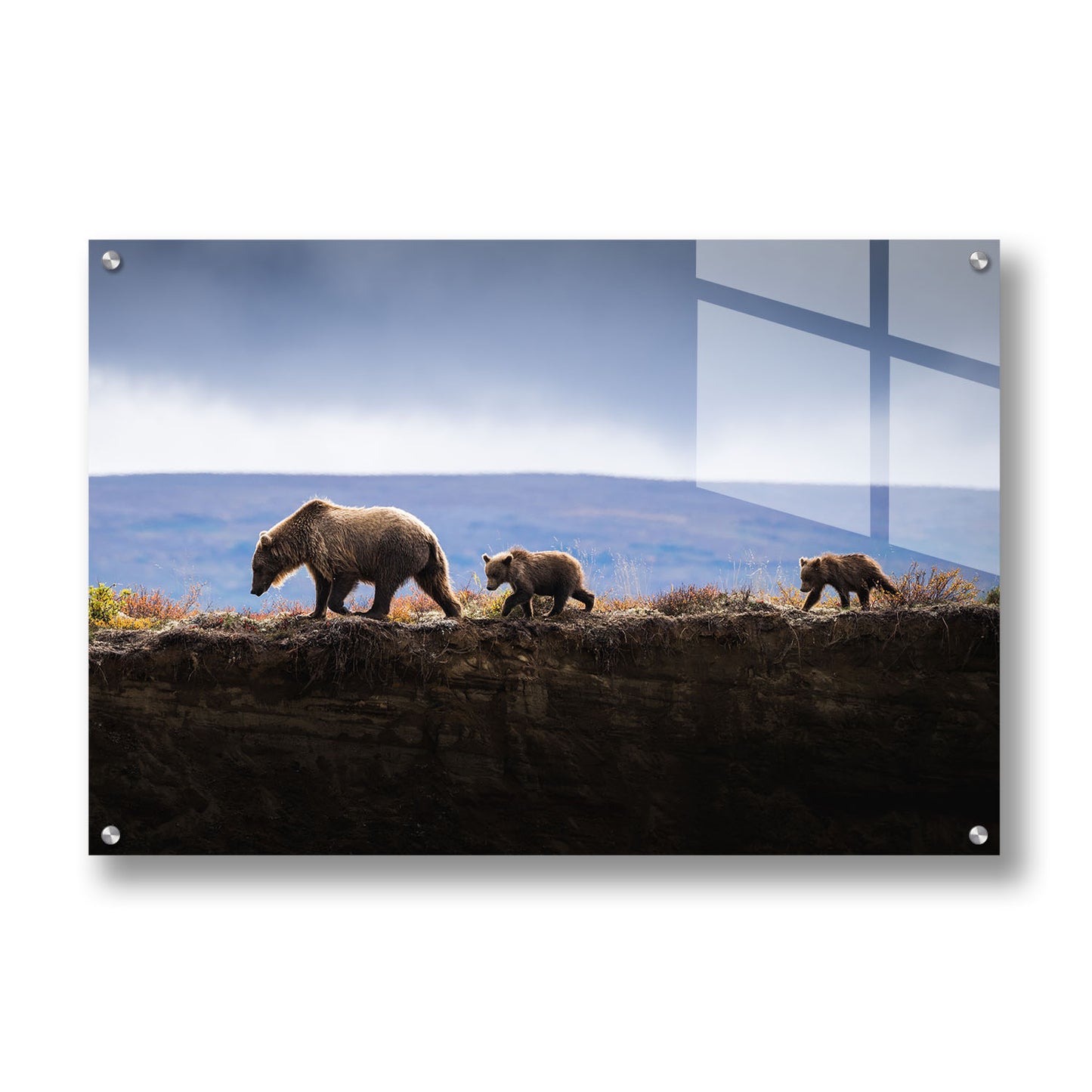MOM AND CUBS