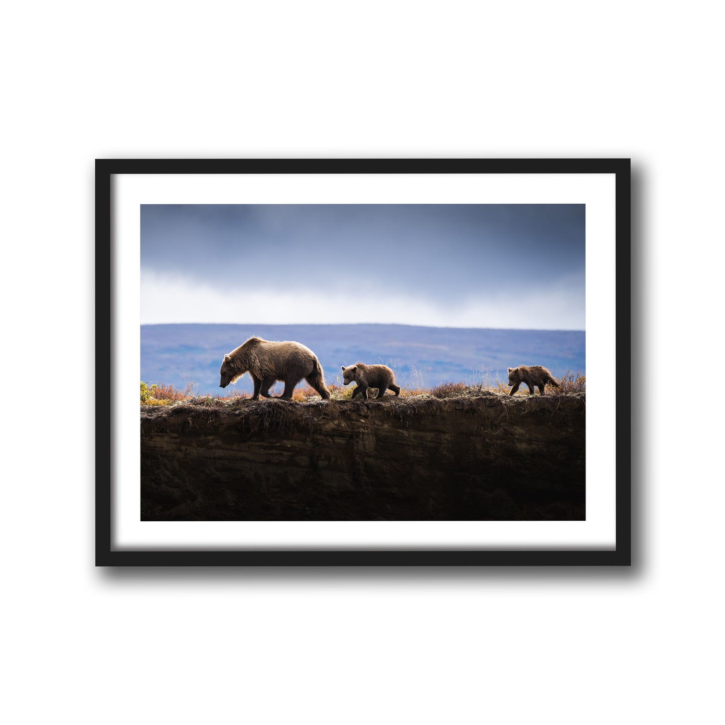 MOM AND CUBS