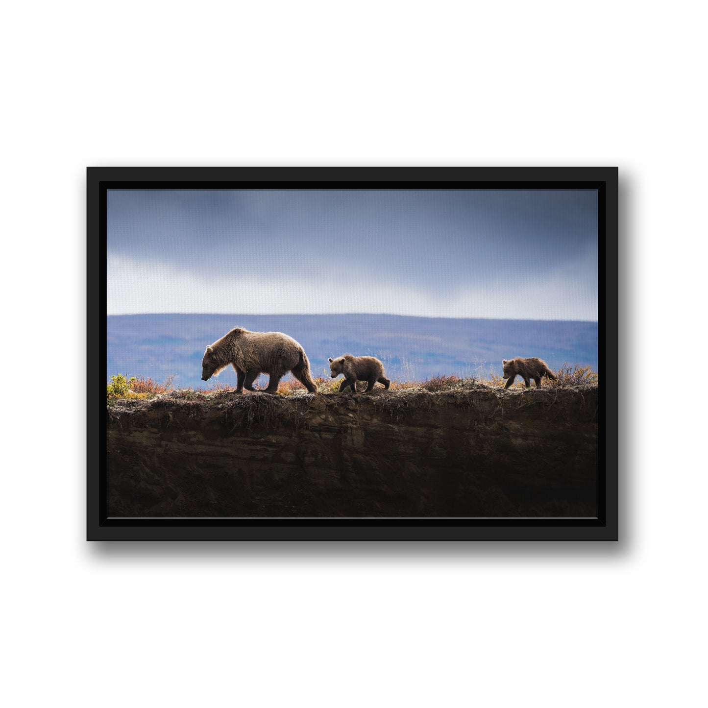 MOM AND CUBS