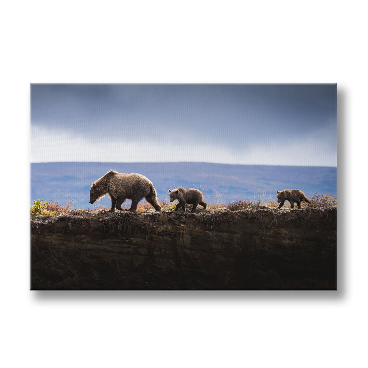 MOM AND CUBS