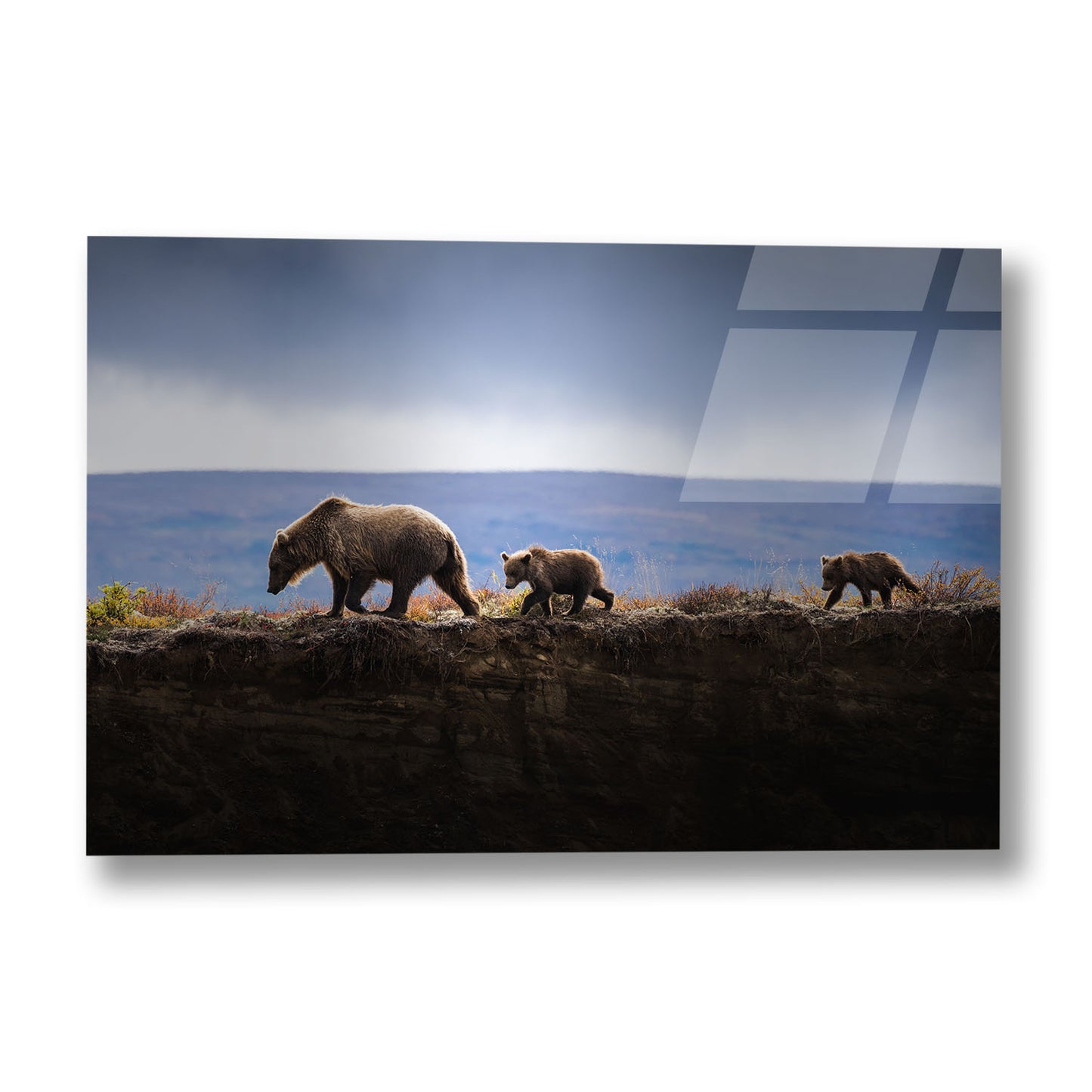 MOM AND CUBS