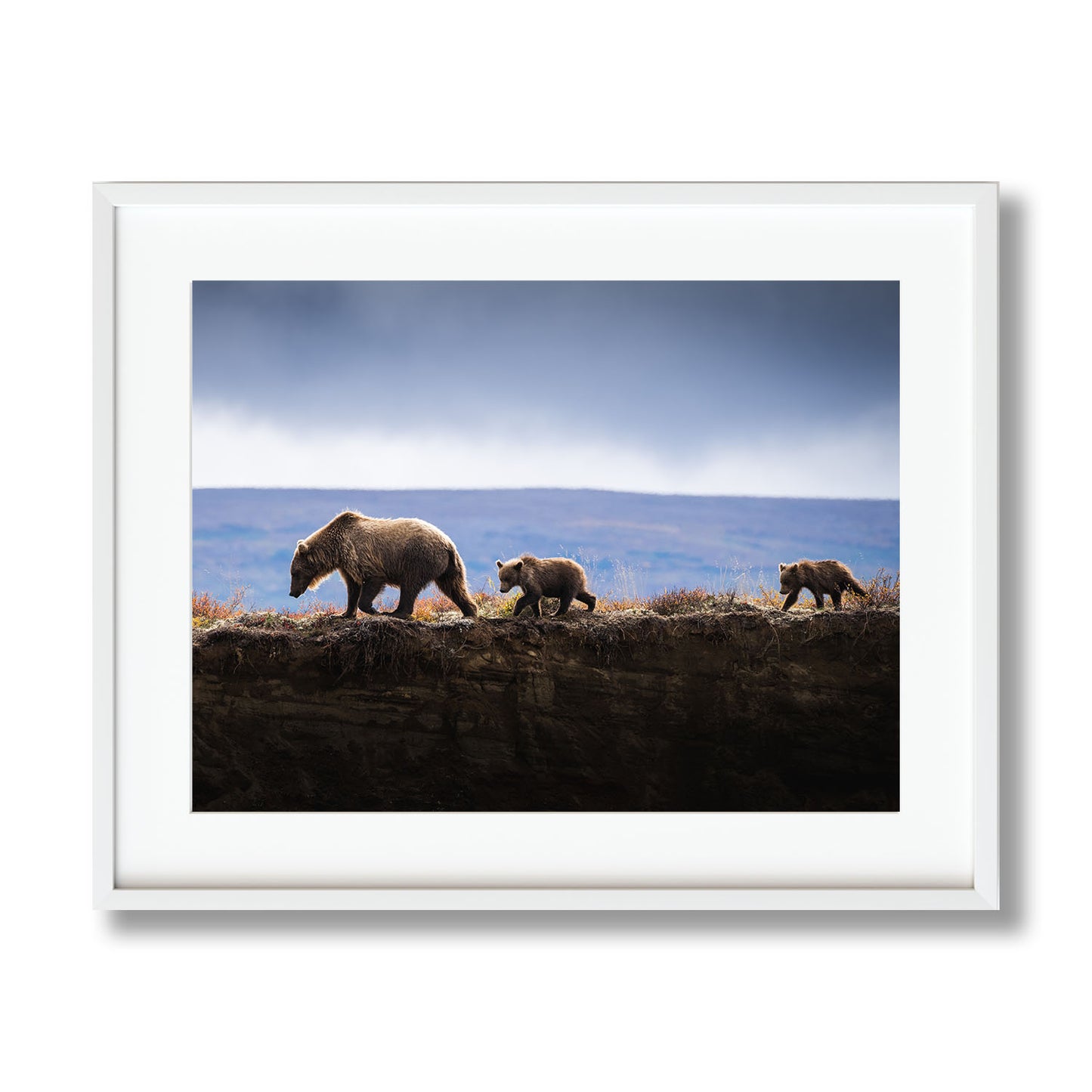 MOM AND CUBS