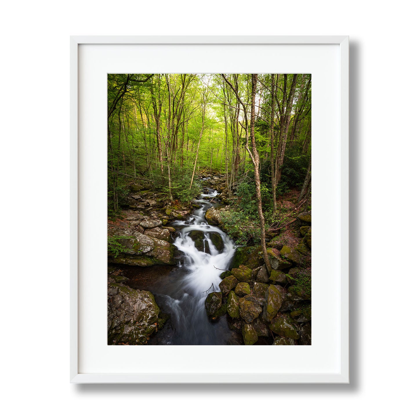 FOREST STREAM