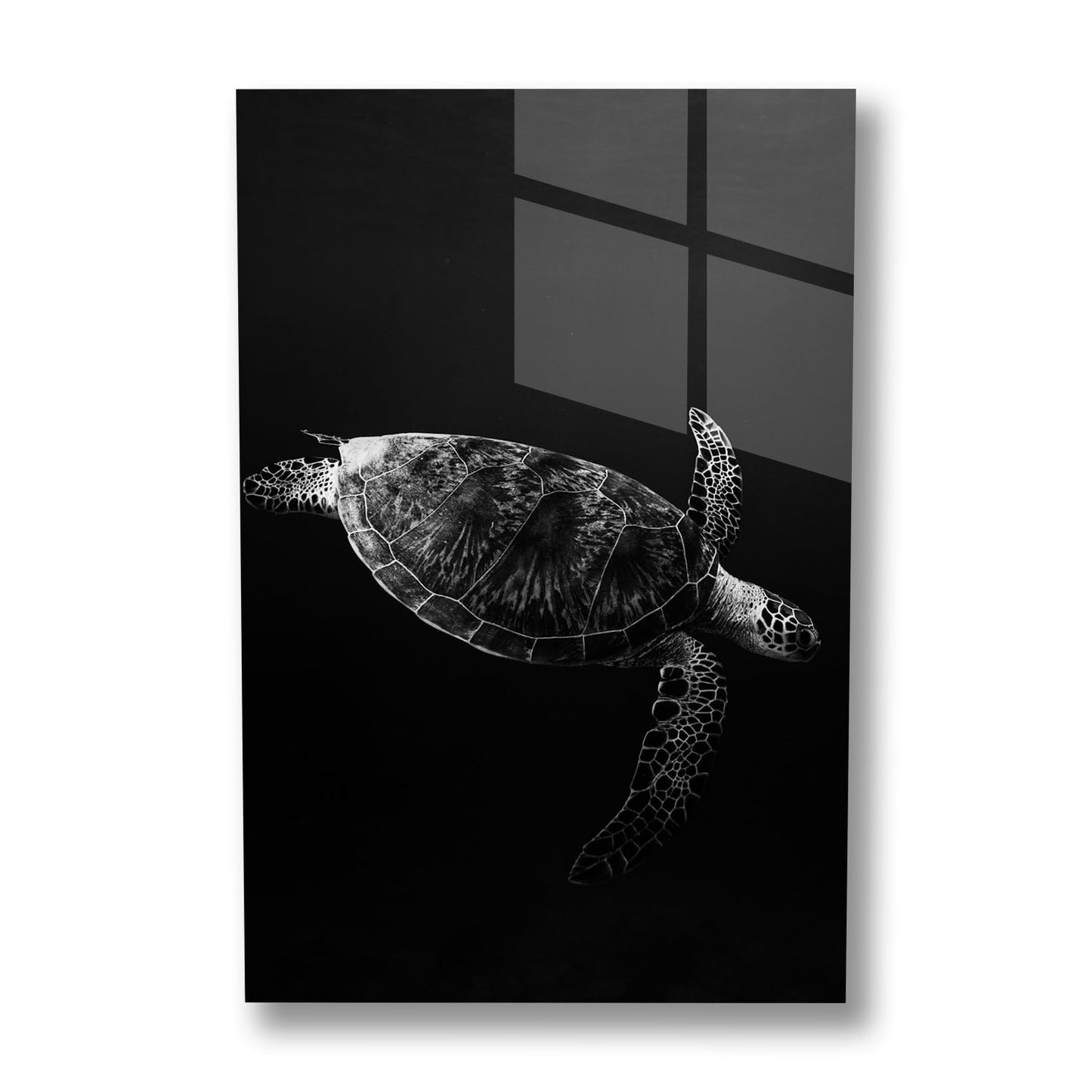 SEA TURTLE