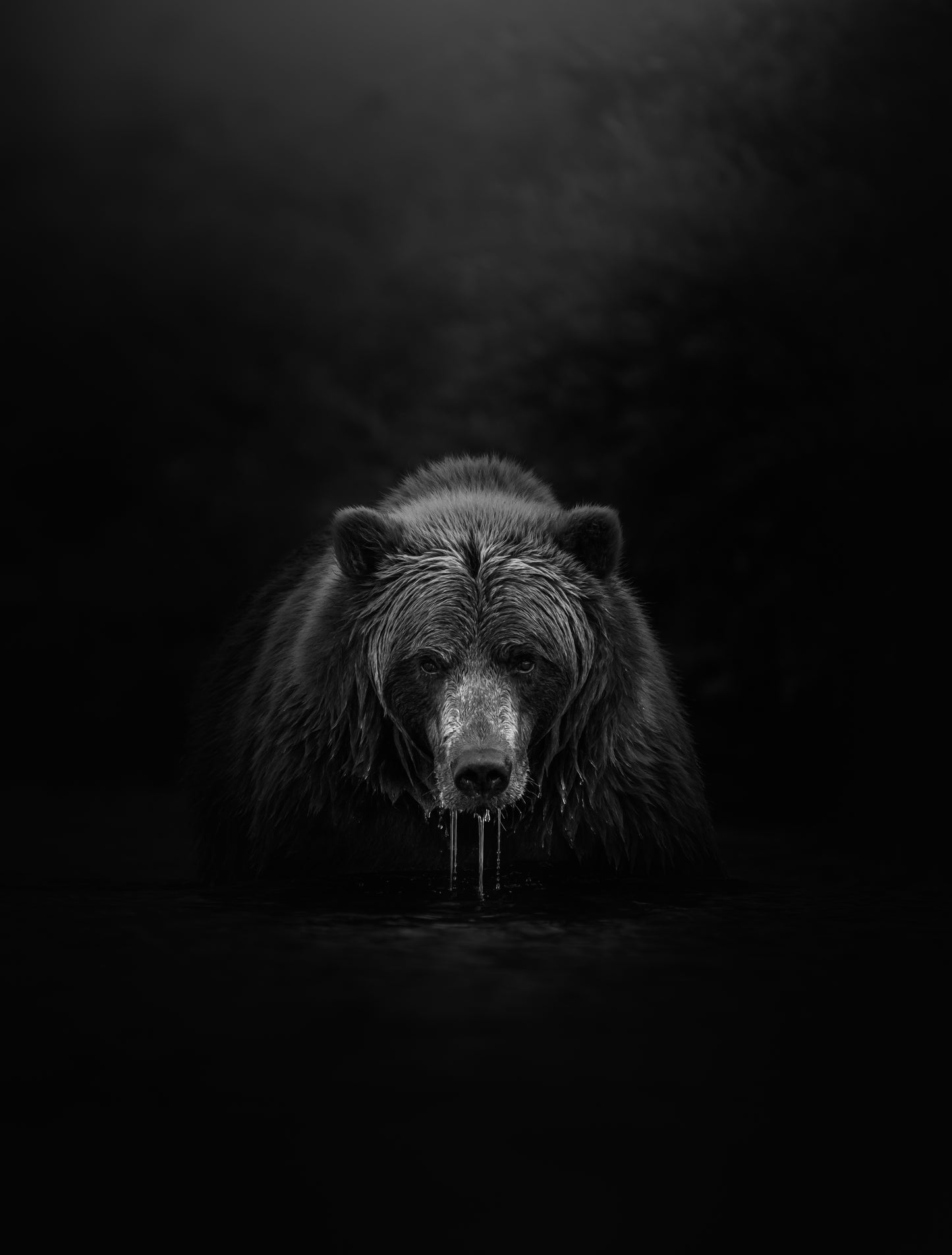 GRIZZLY