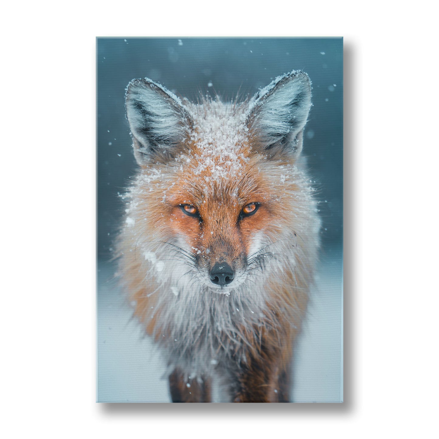 Snowy Fox