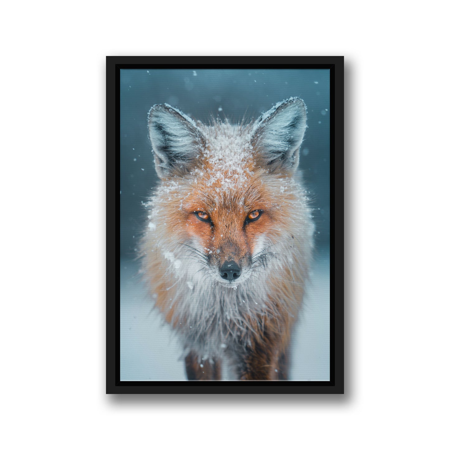 Snowy Fox