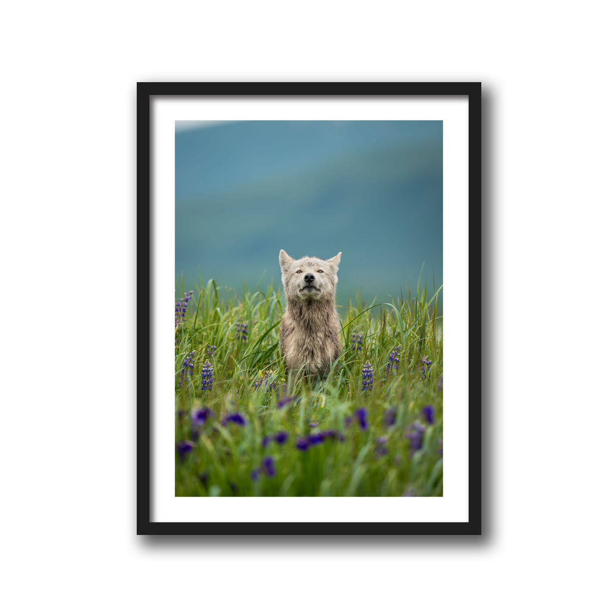 Whispers of the Meadow