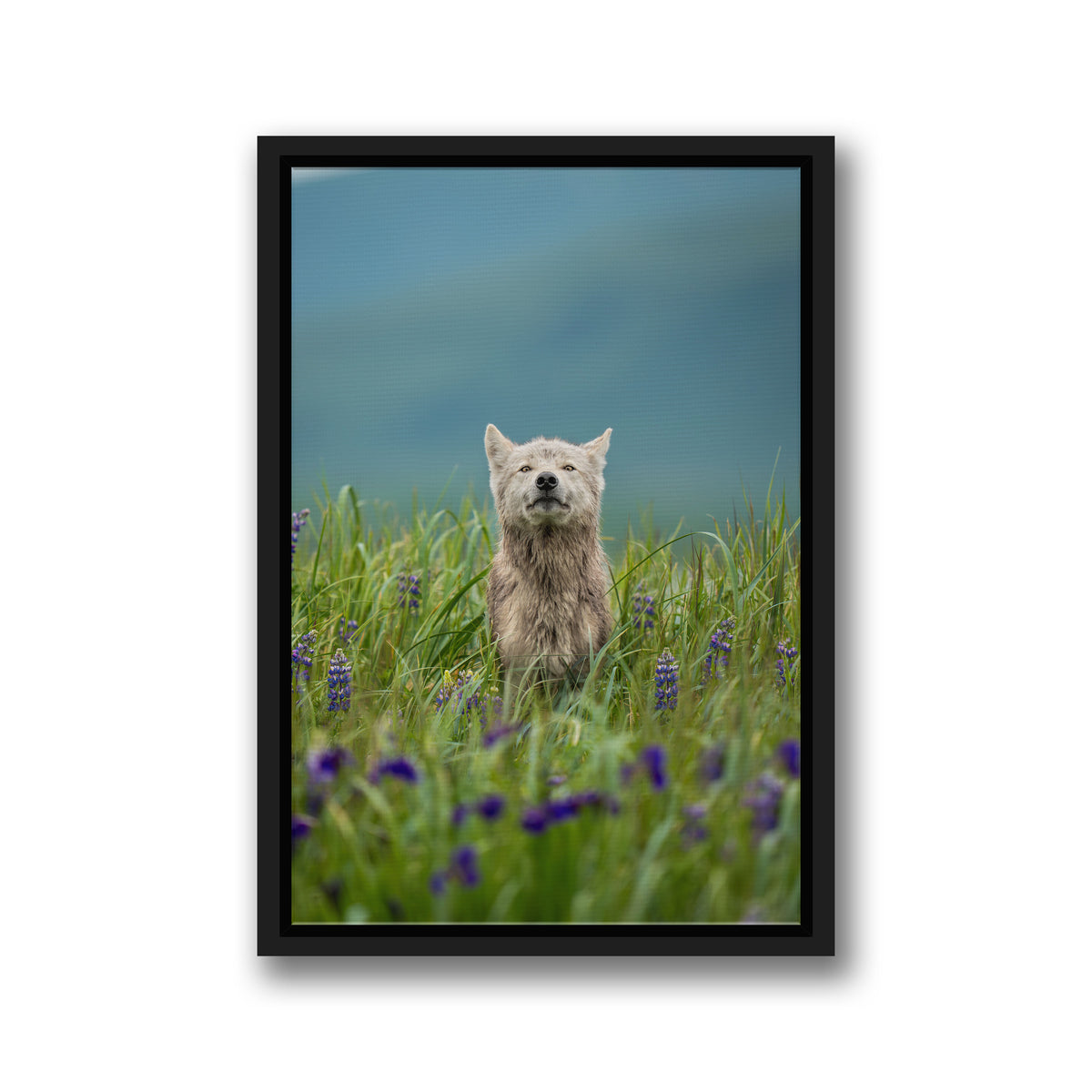 Whispers of the Meadow
