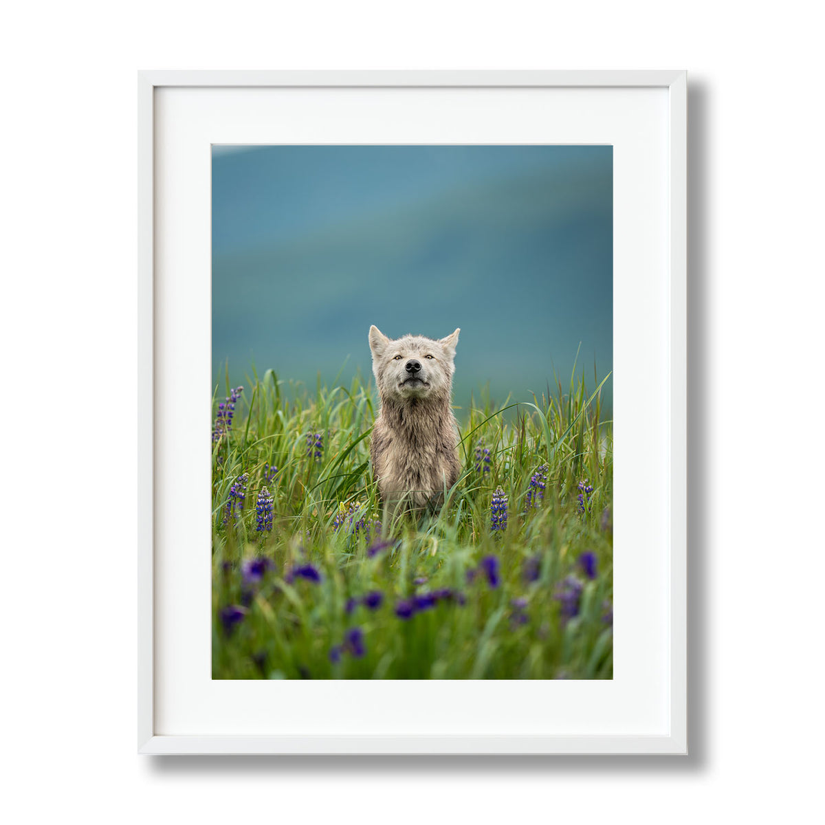 Whispers of the Meadow